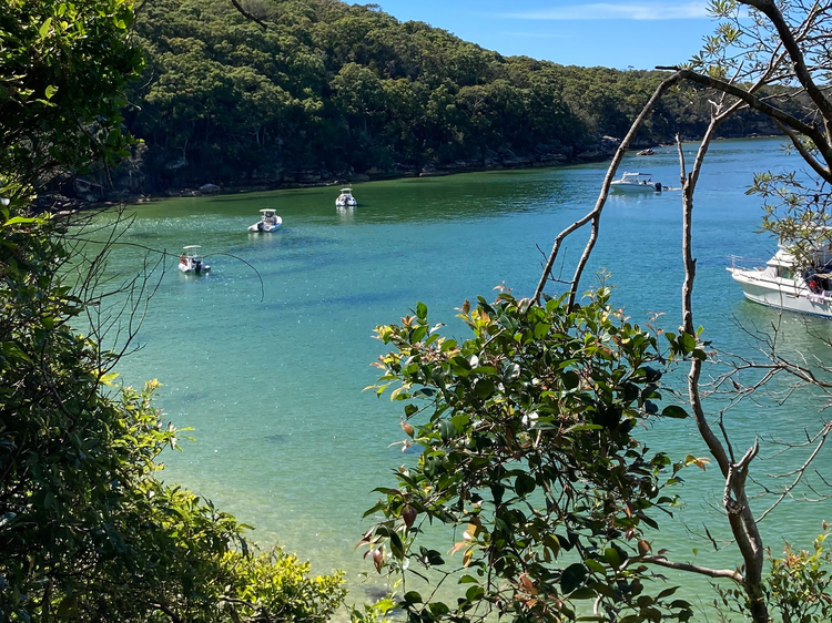 Spit to Manly A beach along the Spit to Manly