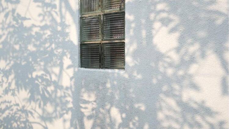 開館30周年記念 MOTコレクション マルチプル_セルフ・ポートレイト 中西夏之 池内晶子 —弓形とカテナリー