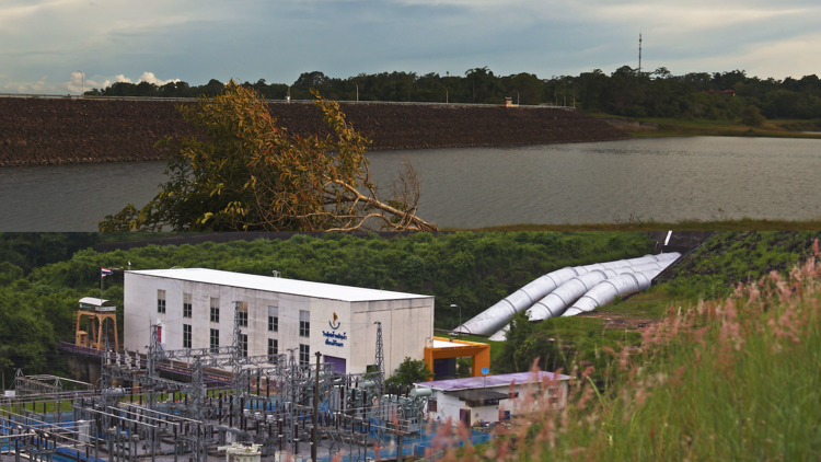 Catch Paradise of the Blind's spark meeting new commission shaped by Gridthiya Gaweewong Catch Paradise of the Blind's spark meeting new commission shaped by Gridthiya Gaweewong