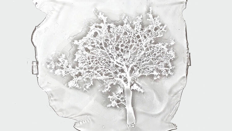 相川勝「In Developing」