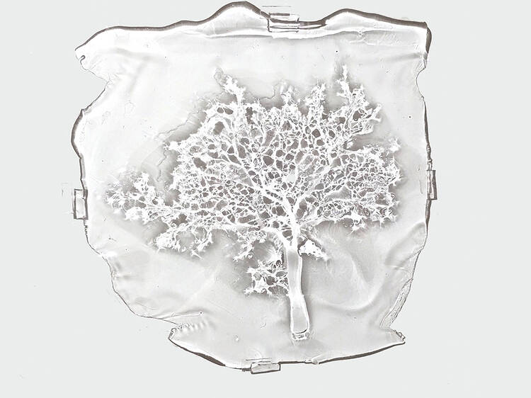 相川勝「In Developing」