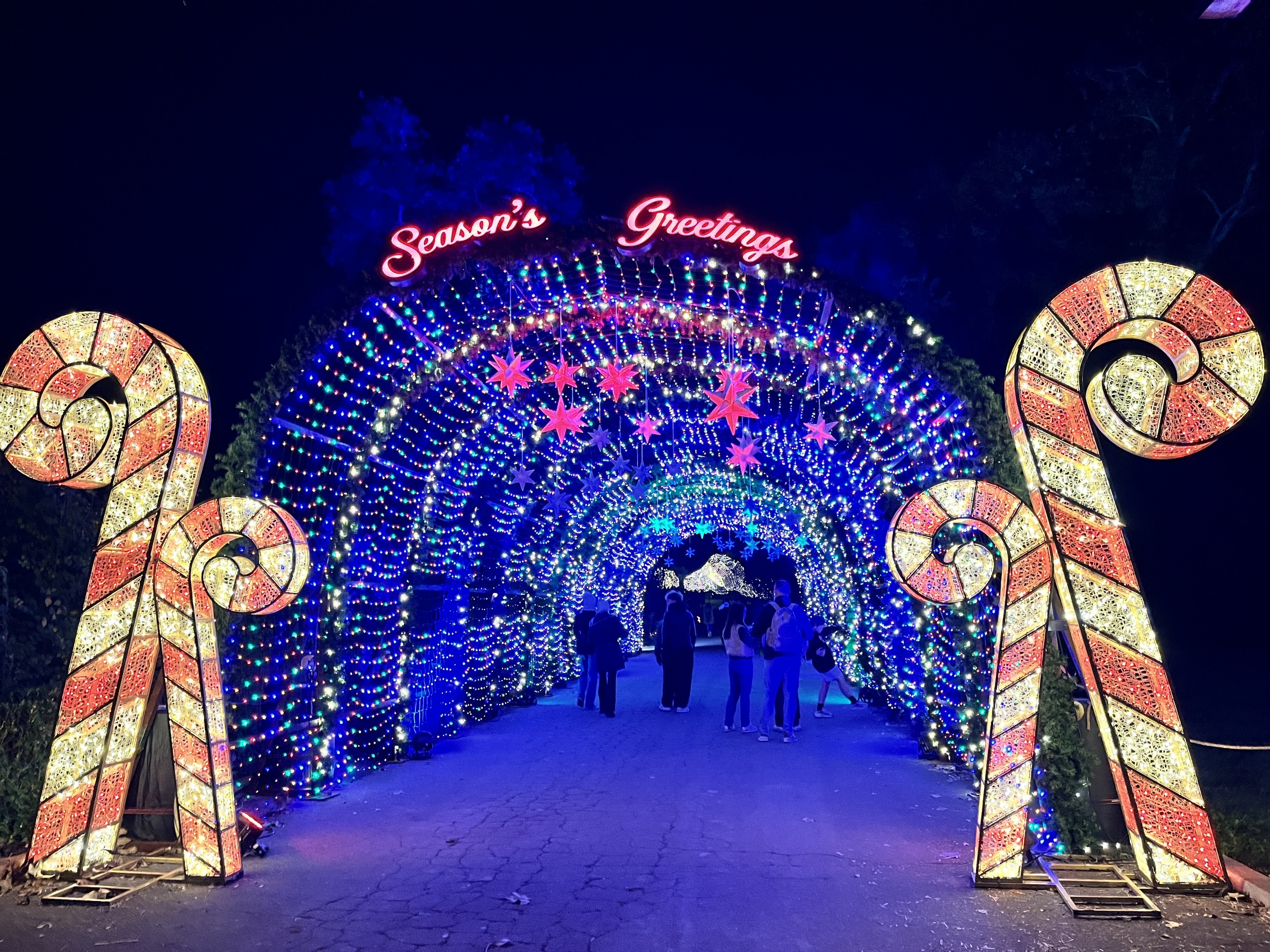 Best Christmas Events and Things to Do for the Holidays in Los ...