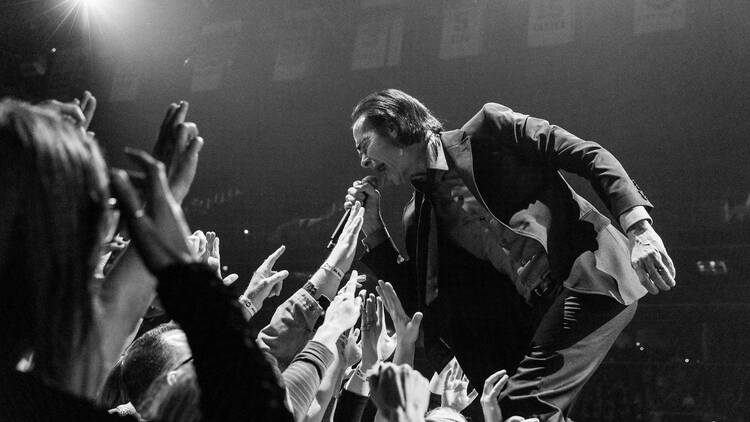 Nick Cave performs for an ecstatic audience