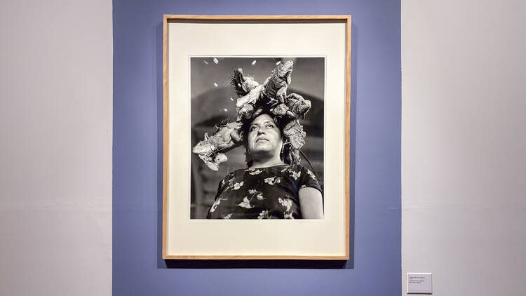 Fijar el tiempo: la nueva exposición gratis de Graciela Iturbide