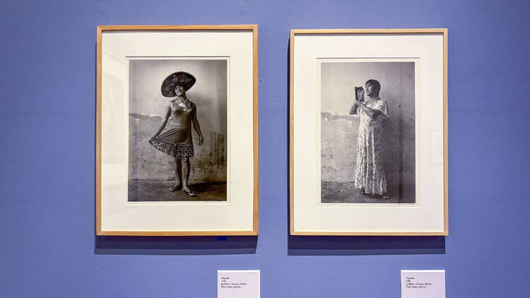 Fijar el tiempo: la nueva exposición gratis de Graciela Iturbide Fijar el tiempo: la nueva exposición gratis de Graciela Iturbide