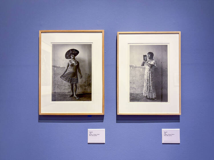 Fijar el tiempo: la nueva exposición gratis de Graciela Iturbide Fijar el tiempo: la nueva exposición gratis de Graciela Iturbide