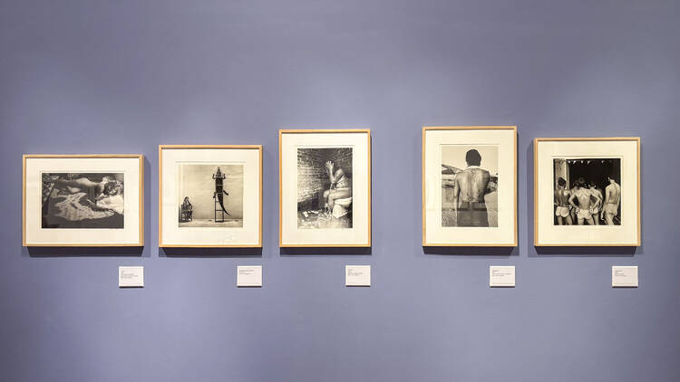 Fijar el tiempo: la nueva exposición gratis de Graciela Iturbide