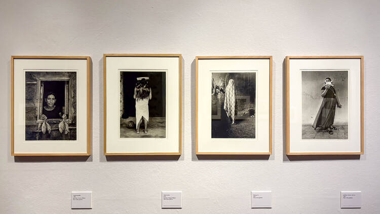 Fijar el tiempo: la nueva exposición gratis de Graciela Iturbide