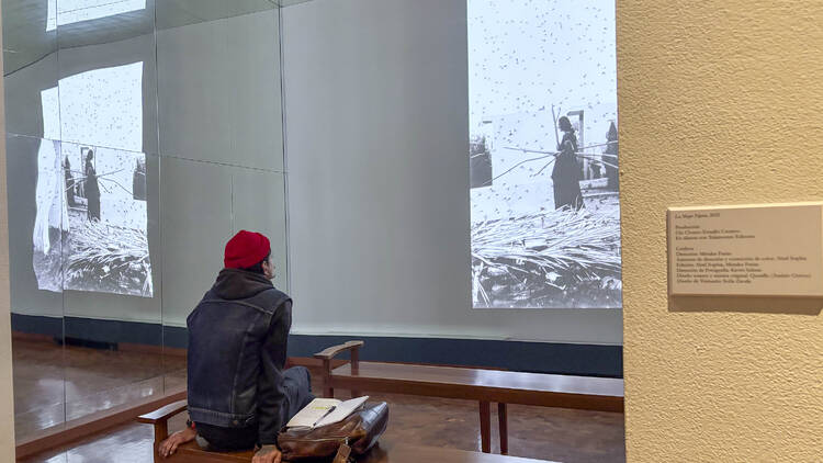 Fijar el tiempo: la nueva exposición gratis de Graciela Iturbide