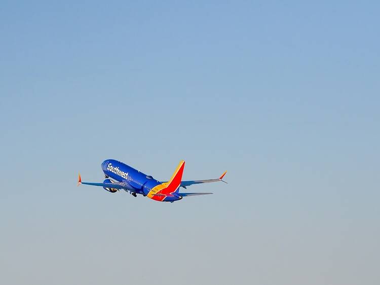 ‘Plus-size passengers’ will now have to book two seats in advance on this airline ‘Plus-size passengers’ will now have to book two seats in advance on this airline