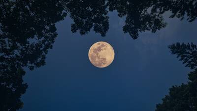 How to See the Final Supermoon of 2025 Tomorrow Night From All Over the ...