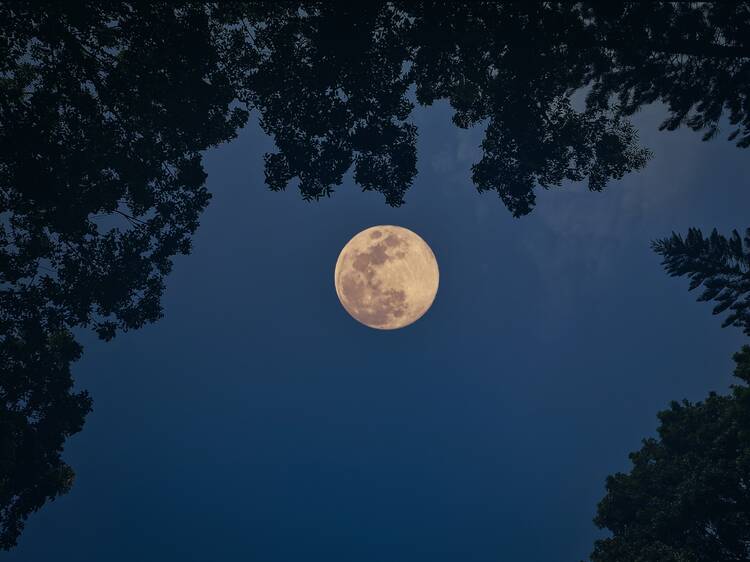 How to see the final super moon of the year across the U.S. tomorrow