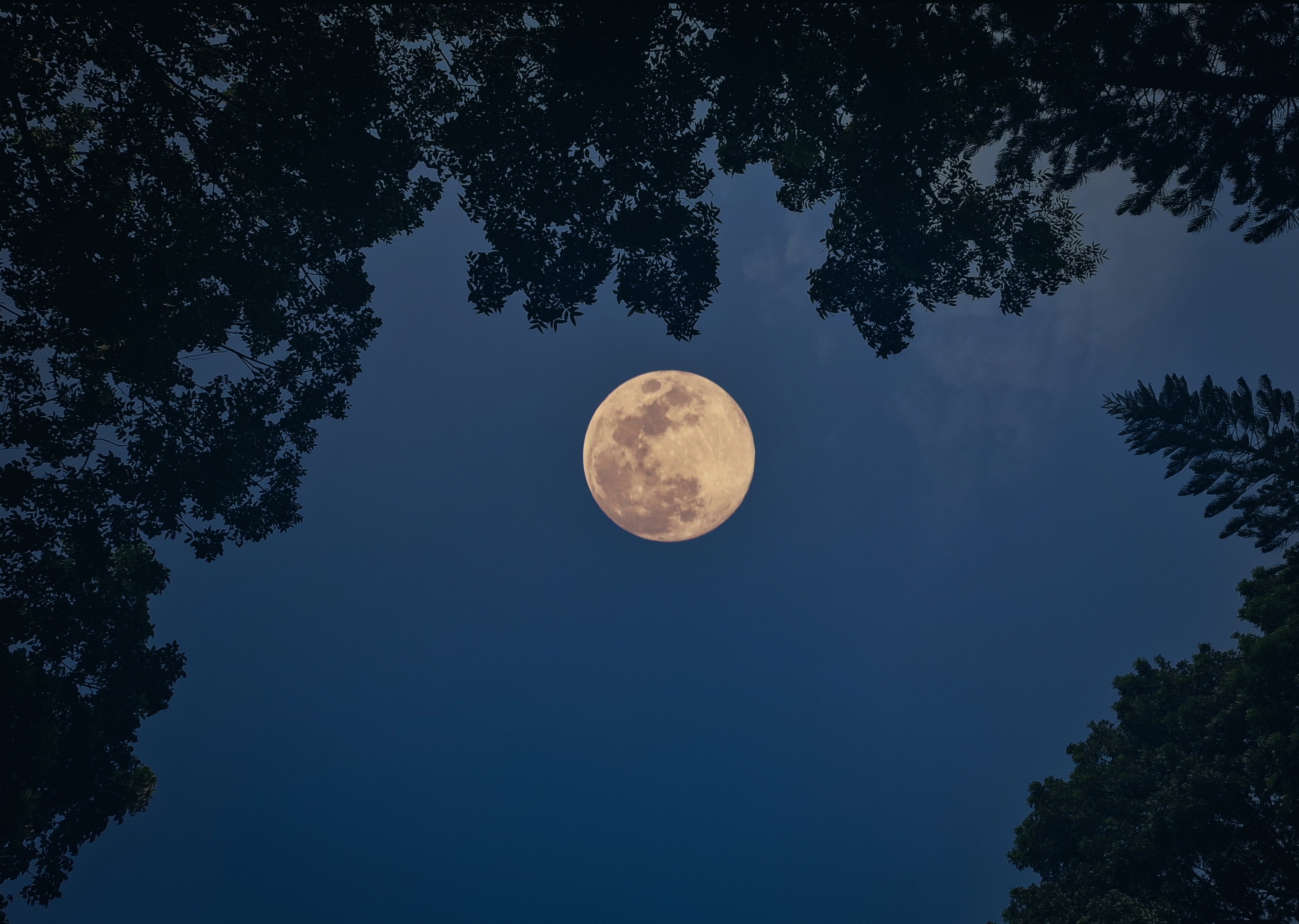 The August full moon (coinciding with a lunar eclipse) will rise above Sydney this week