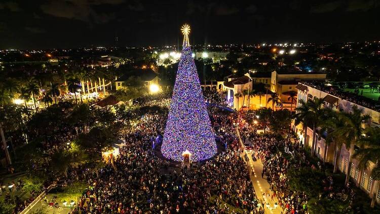 delray beach christmas tree