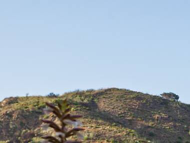 The 11 best things Time Out L.A. editors saw and did in 2025 The 11 best things Time Out L.A. editors saw and did in 2025