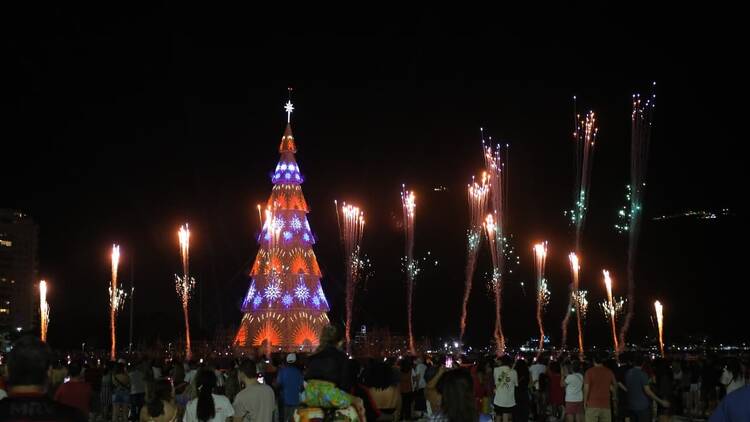 Árvore tem 80m Árvore tem 80m