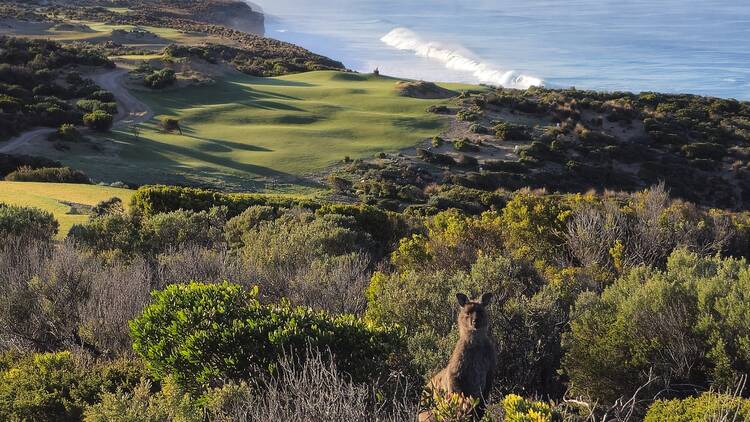 The Cliffs Kangaroo Island, SA