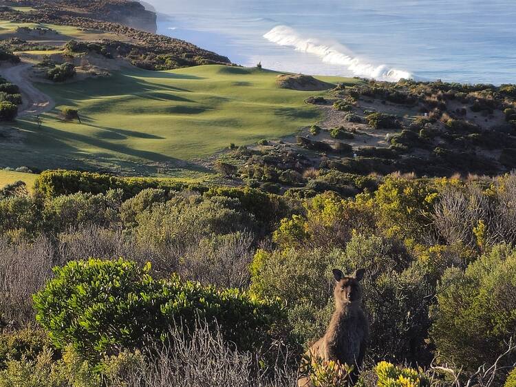 The Cliffs Kangaroo Island, SA
