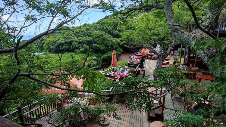 Monkey Valley Resort