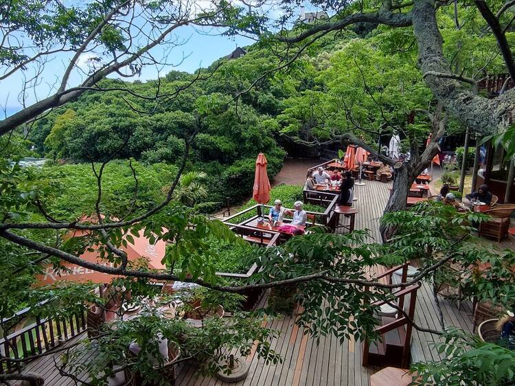 Monkey Valley Resort