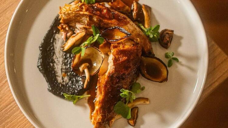 The SALT Road Houghton restaurant meal