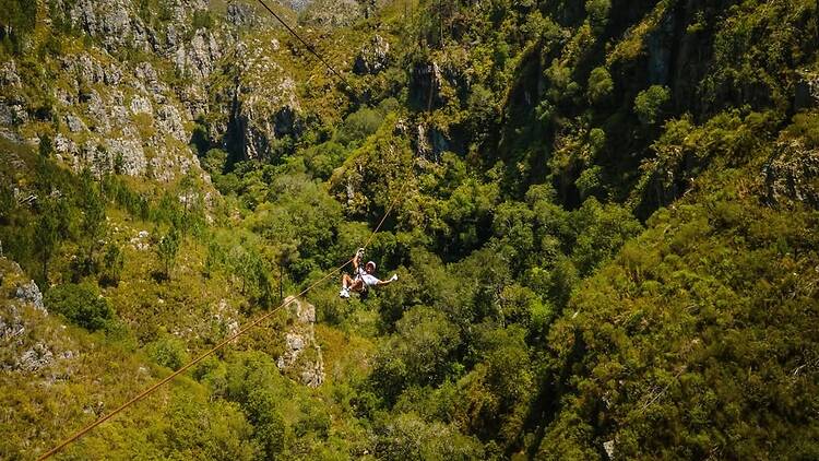 Cape Canopy Tour – Soar Over the Elgin Valley