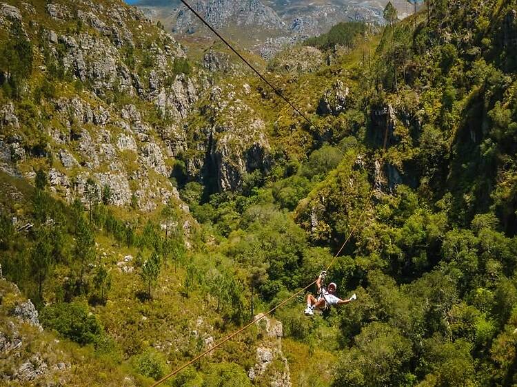 Cape Canopy Tour – Soar Over the Elgin Valley