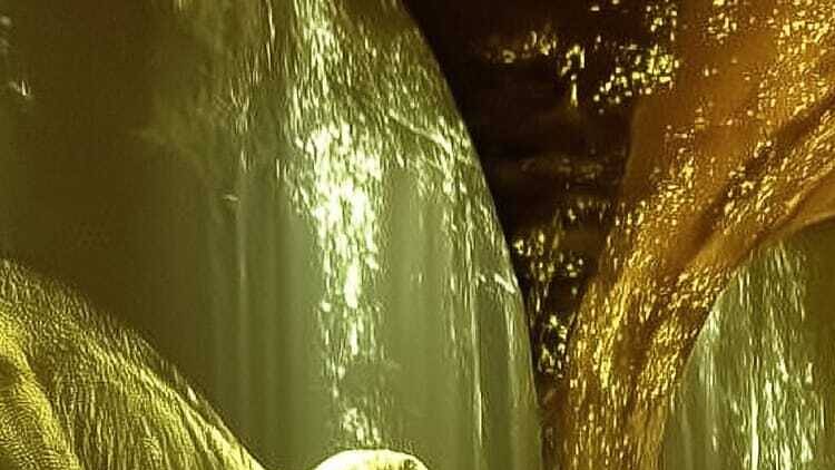 A Dino Experience pode ser visitada na Alfândega do Porto