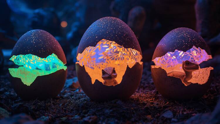 A Dino Experience pode ser visitada na Alfândega do Porto