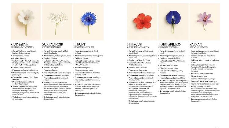 « Sobrelier » de Benoit d’Onofrio