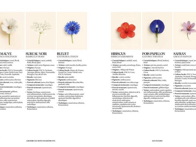 « Sobrelier » de Benoit d’Onofrio