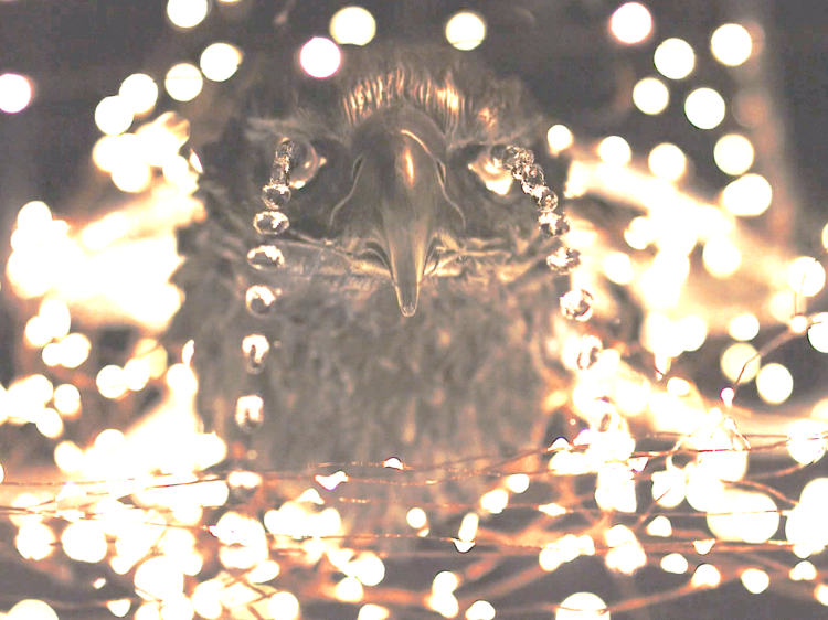 This stunning new immersive art experience invites folks to interact with it daily