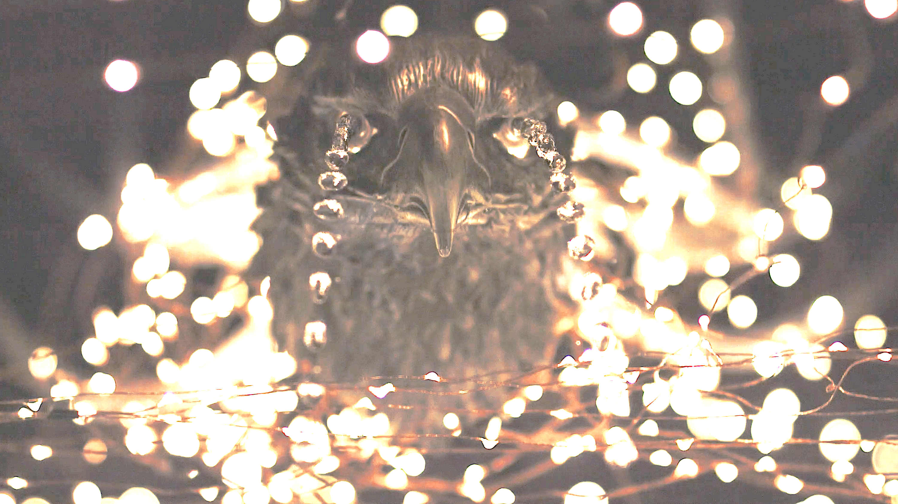 Immersive art experience Time Drop turns back time at Miami Art Week