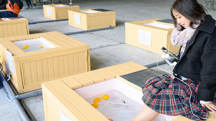 Grand Green Holiday 2025