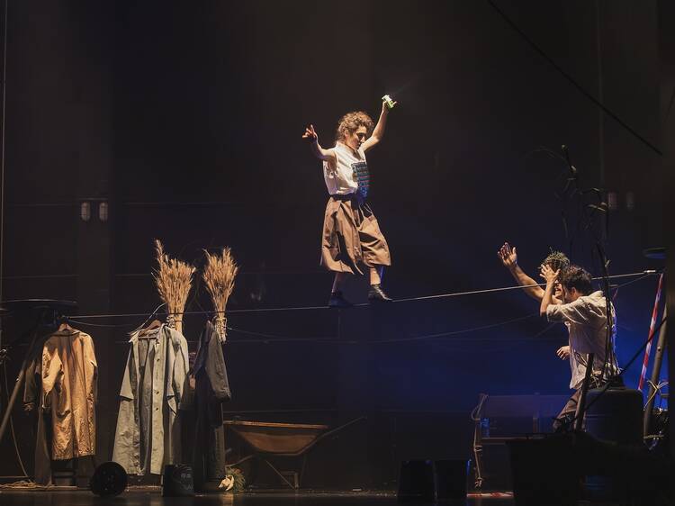 Un jardí fet de circ