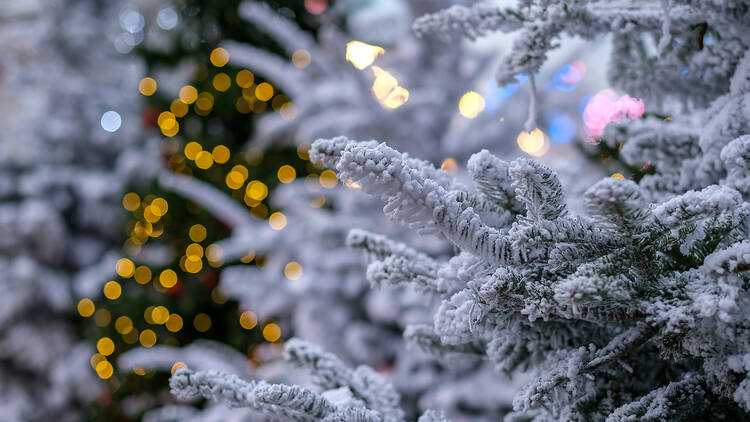 la Forêt enchantée de l’Hôtel de Ville