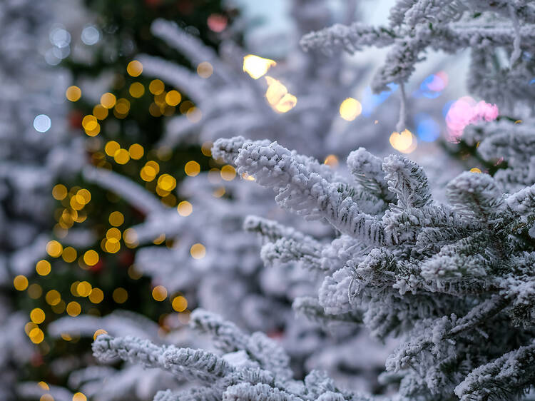 Illuminations, animations familiales et chalets gourmands... La Forêt enchantée ouvre au public sur le parvis de l’Hôtel de Ville jusqu’au 4 janvier 2026 Illuminations, animations familiales et chalets gourmands... La Forêt enchantée ouvre au public sur le parvis de l’Hôtel de Ville jusqu’au 4 janvier 2026