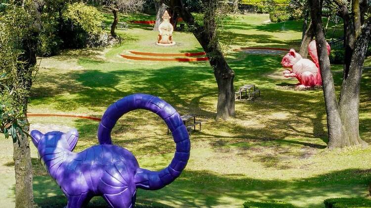 Jardín Hondonada Jardín Hondonada