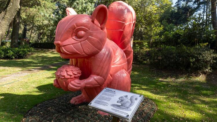 Hay un cacomixtle gigante en Los Pinos: así es el nuevo Jardín Hondonada