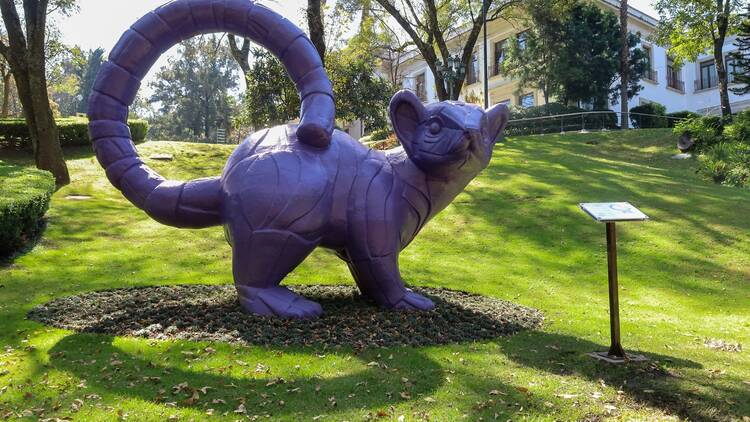 Hay un cacomixtle gigante en Los Pinos: así es el nuevo Jardín Hondonada