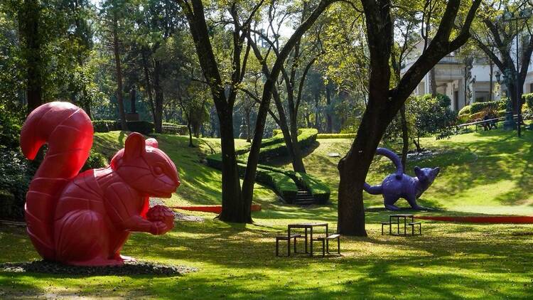 Hay un cacomixtle gigante en Los Pinos: así es el nuevo Jardín Hondonada