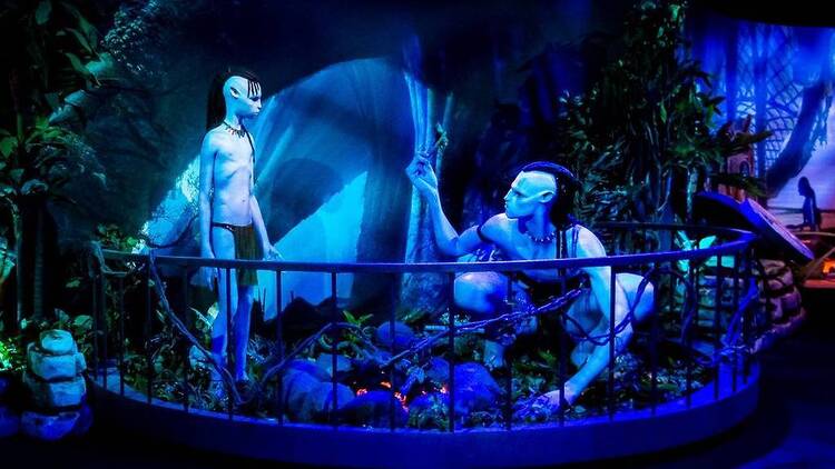 Avatar: The Experience