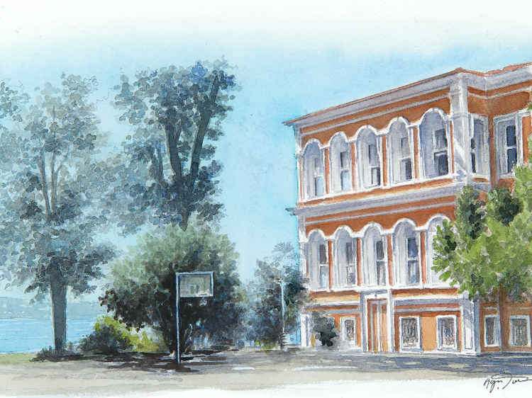 Ayşe Türemiş Ayşe Türemiş