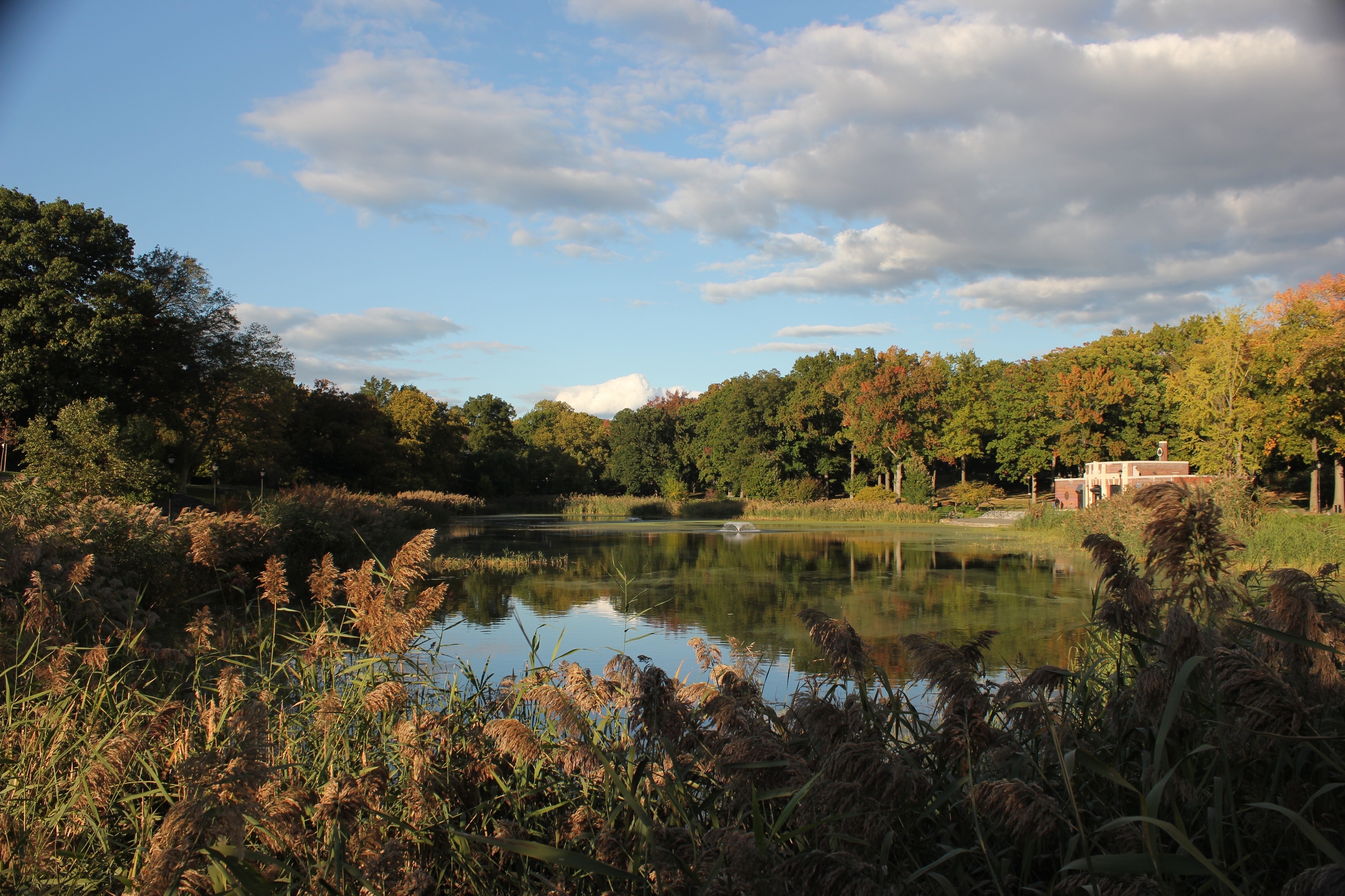 Brooklyn's getting a $68 million fix for Prospect Park flooding
