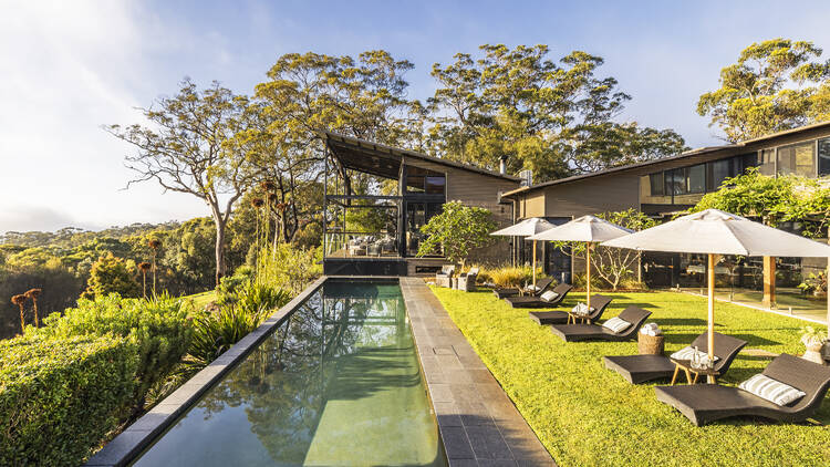 Spicers Sangoma Retreat Pool with lounge chairs in bushland