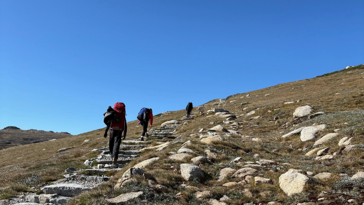 Snowies Alpine walk Snowies Alpine walk