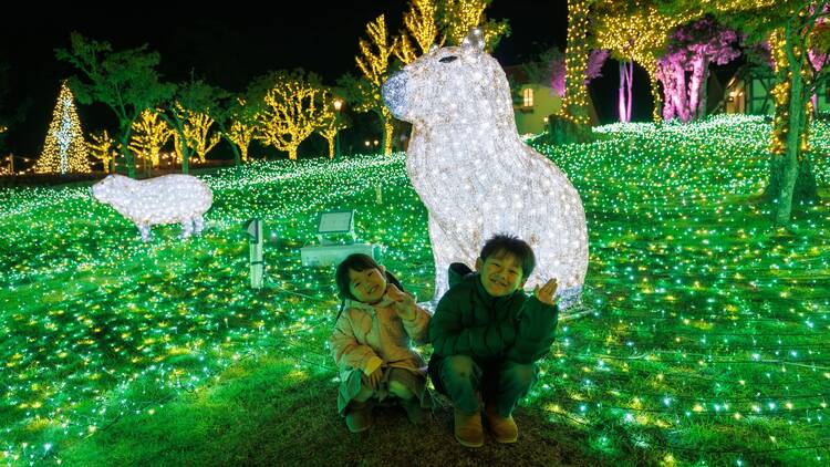 Wonder Night Hill 2025