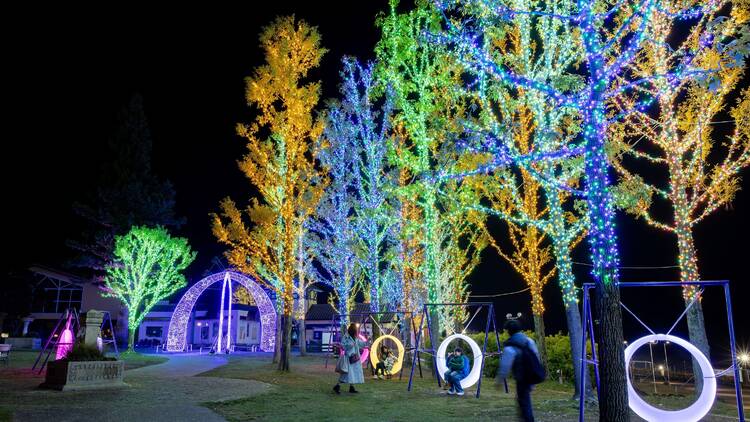 Wonder Night Hill 2025