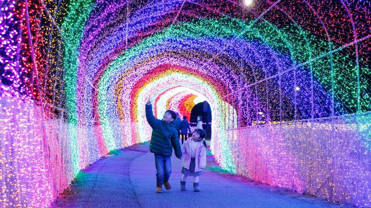 Wonder Night Hill 2025