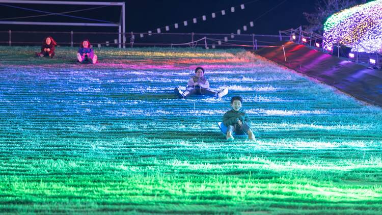 Wonder Night Hill 2025